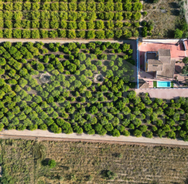 F -  - Orihuela - Orihuela