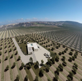 Detached Villa - New Build - Algorfa - Algorfa