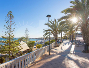 Semi-Detached House - Nueva construcción  - Pilar de la Horadada - Costa Blanca