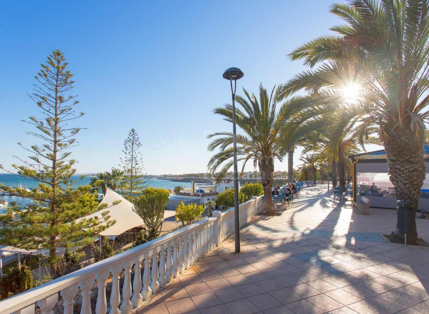 Nueva construcción  · Semi-Detached House Pilar de la Horadada · Costa Blanca