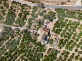  · F Orihuela