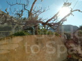 Re-Sale · Attached Murcia