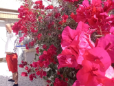 Re-Sale · Townhouse La Mata