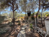  · C Orihuela · Torremendo