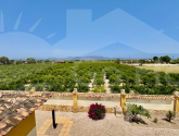 Venta · Finca / Country Property Catral