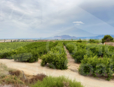 Venta · Finca / Country Property La Murada