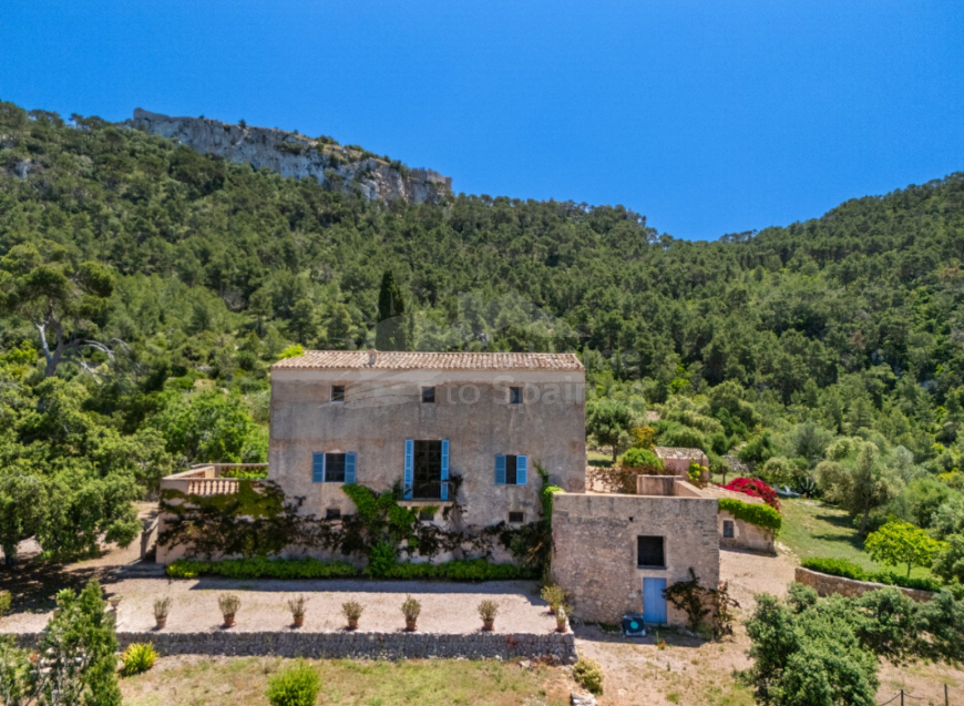  · F Felanitx · Mallorca